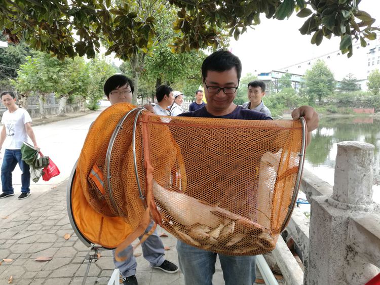 管家婆四不象来料图